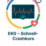EKG – Schnell-Crashkurs